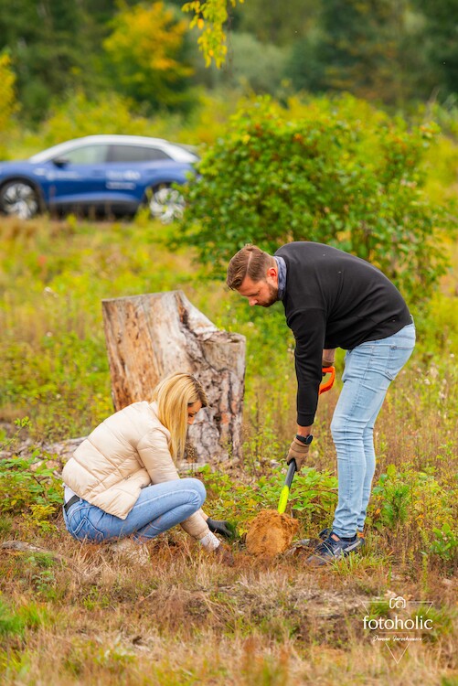 Pracownicy salonu Volkswagena w Zielonej Górze posadzili blisko 2 000 drzew w okolicy miasta